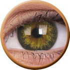 ColourVue Big Eyes - Gorgeous brown (2 čočky tříměsíční) - dioptrické