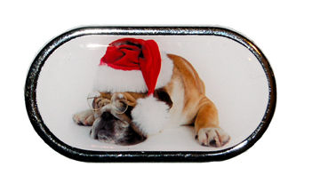 Pouzdro se zrcátkem Vánoční motiv - Pes v brýlích