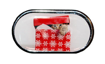 Pouzdro se zrcátkem Vánoční motiv - Kotě v krabici